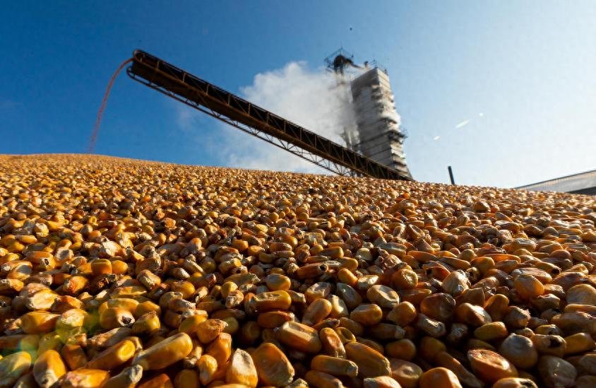 庆尚南道向对美出口企业提供100亿韩元紧急经营稳定资金