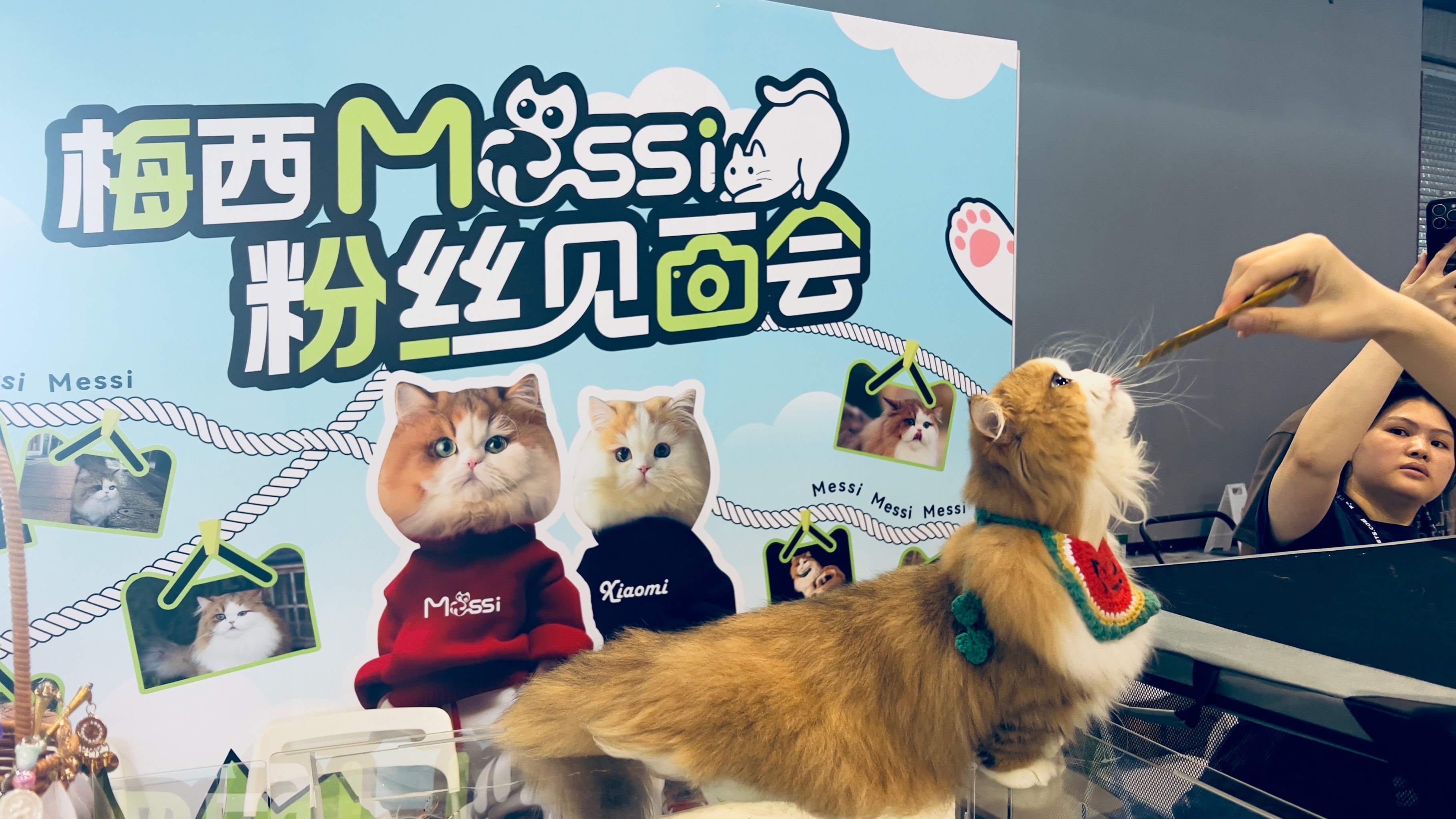 “异宠”市场兴起需规范引导 全国宠物经济相关企业超过469万家