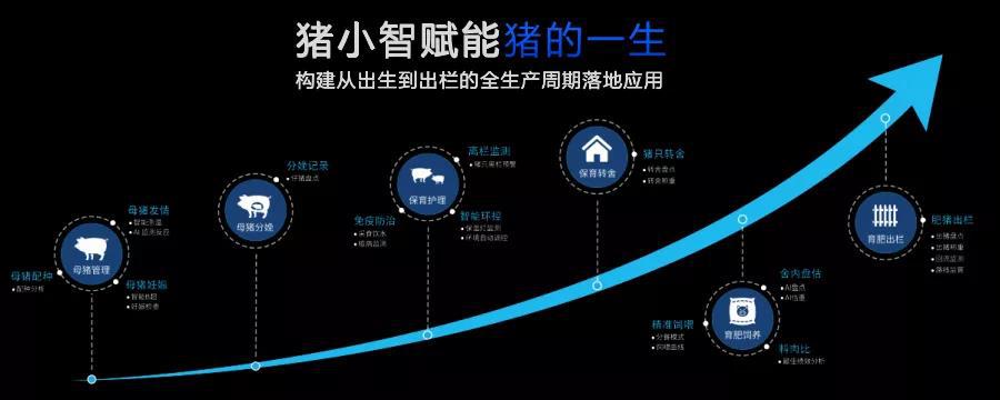 中证鹏元常务副总裁秦斯朝：科创债市场扩容将助推构建多层次债券市场生态