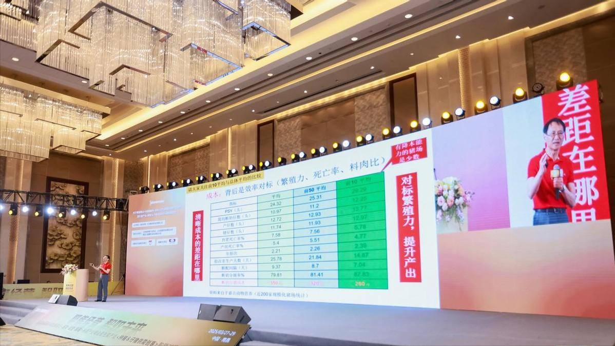 佛得角2025年5月燃料价格平均下降7.56%