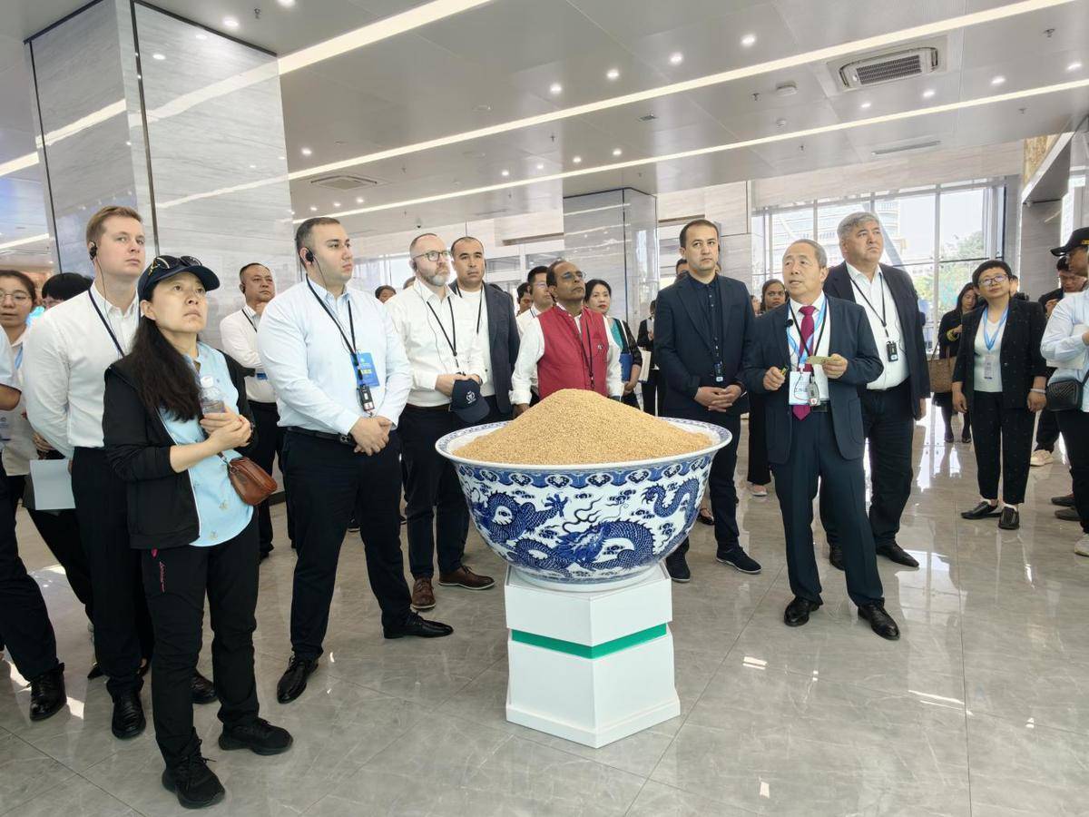 上合组织成员国第九届科技部长会议推动深化科技创新合作