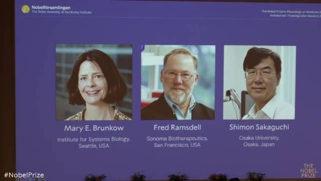 三名科学家因金属有机框架研究获2025年诺贝尔化学奖