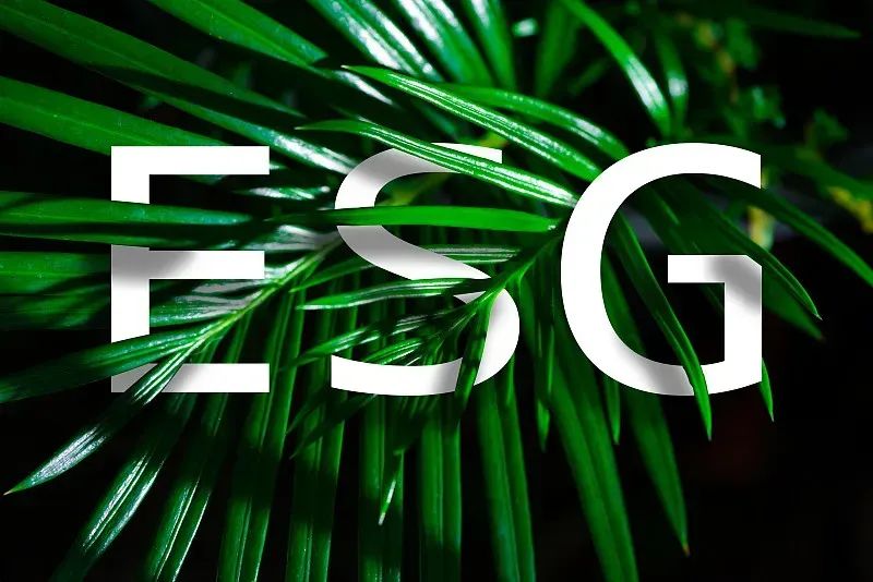 【ESG动态】平安好医生（01833.HK）获华证指数ESG最新评级BB，行业排名第6