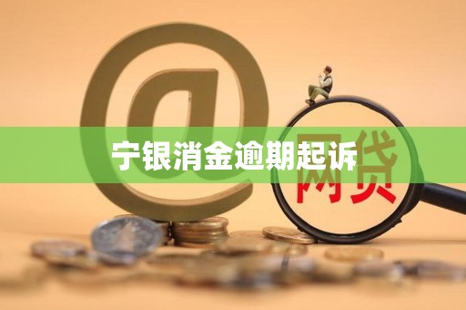 持牌消金上半年业绩（二）腰部崛起：盈利普涨与规模竞速 宁银消金资产规模跻身行业第六