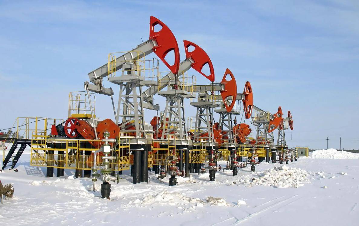 印度农业部长称不会在农业贸易上屈服于外部压力