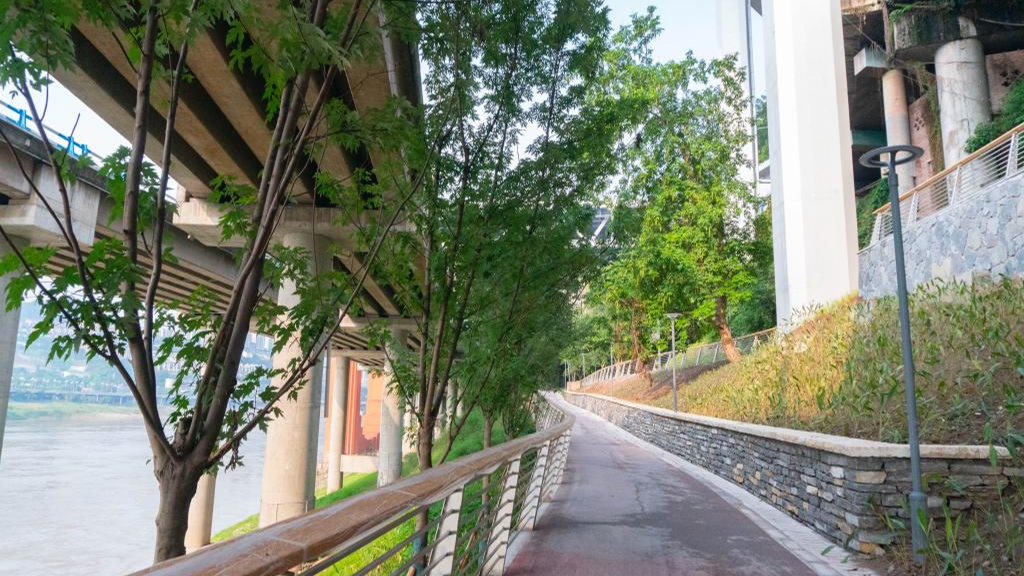 科技金融赋能绿色未来：长三角构建"科技-产业-金融"生态闭环的破局之道