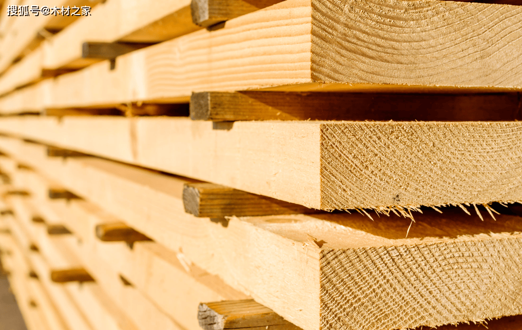 智利林业界紧急呼吁政府应对美国于10月14日生效的木材关税