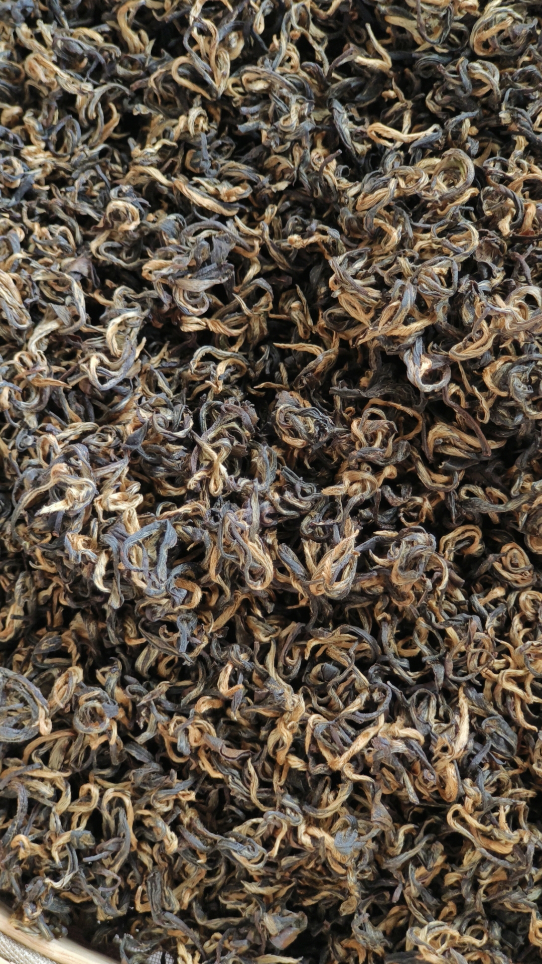 我国红茶加工技术领域实现多项突破性进展