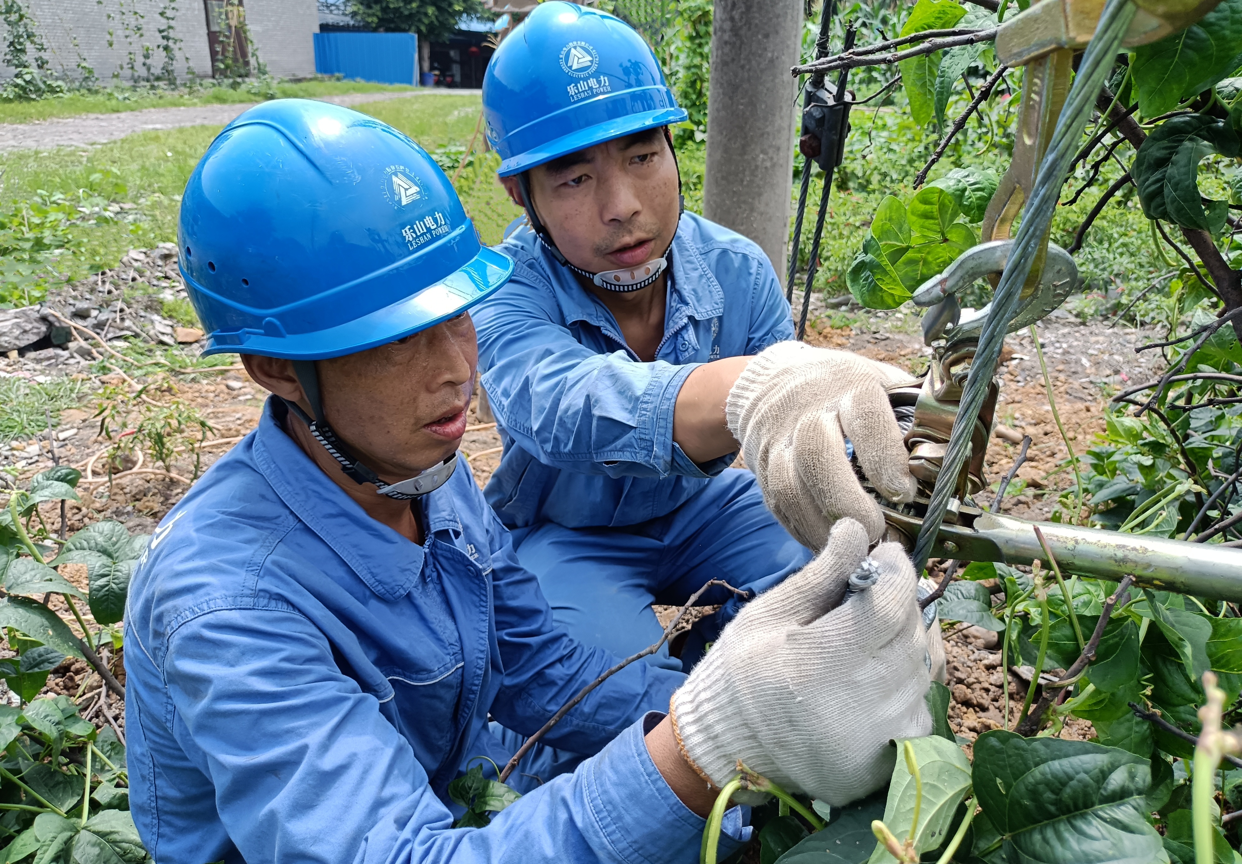 战高温斗酷暑 能源类上市公司全力保供