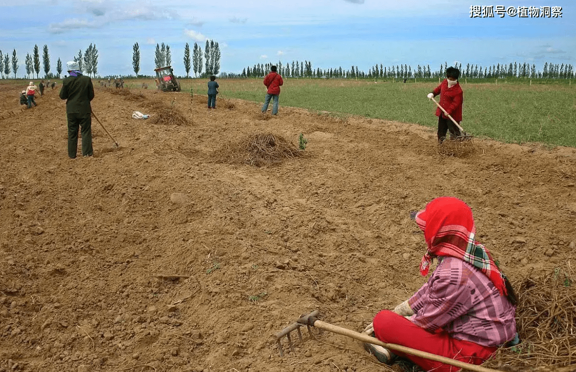 蜂助手(301382.SZ)：子公司竞拍取得土地使用权