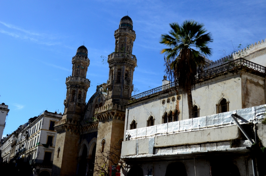 阿尔及利亚干旱加剧饲料短缺 养殖户集中采购大麦和麦麸