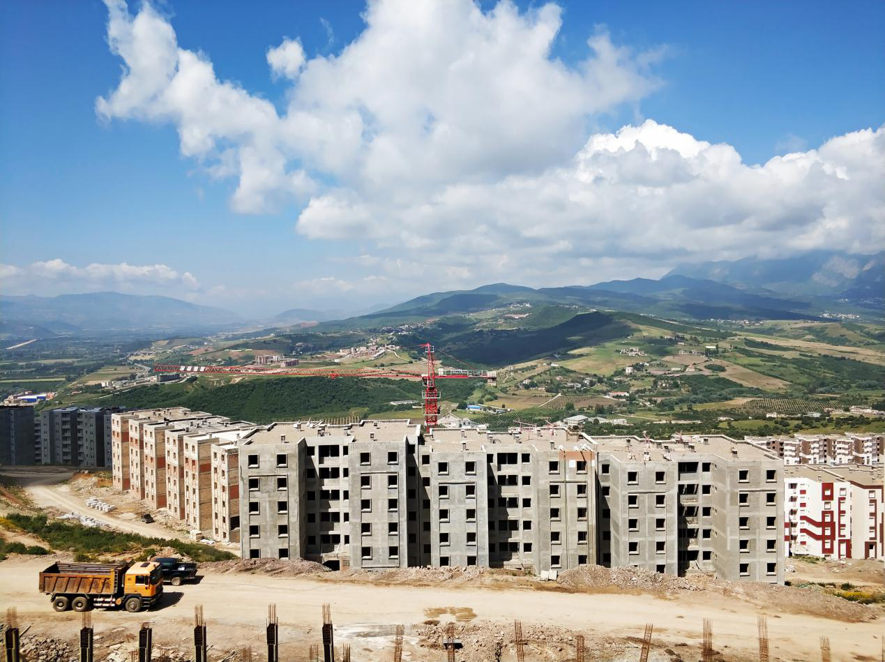 阿尔及利亚干旱加剧饲料短缺 养殖户集中采购大麦和麦麸