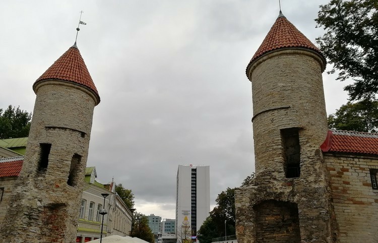 爱沙尼亚2025年11月份港口货运量同比增长13.9%