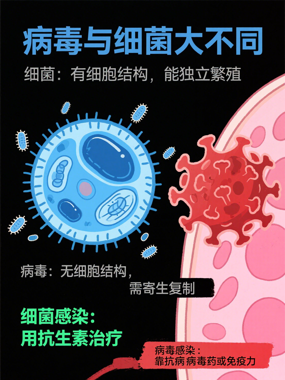 新研究发现细菌在抗生素作用下存活机制