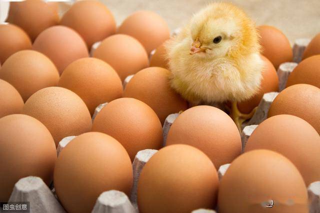 30年国债期货“跌跌不休”， 多因素博弈下或迎长期配置窗口