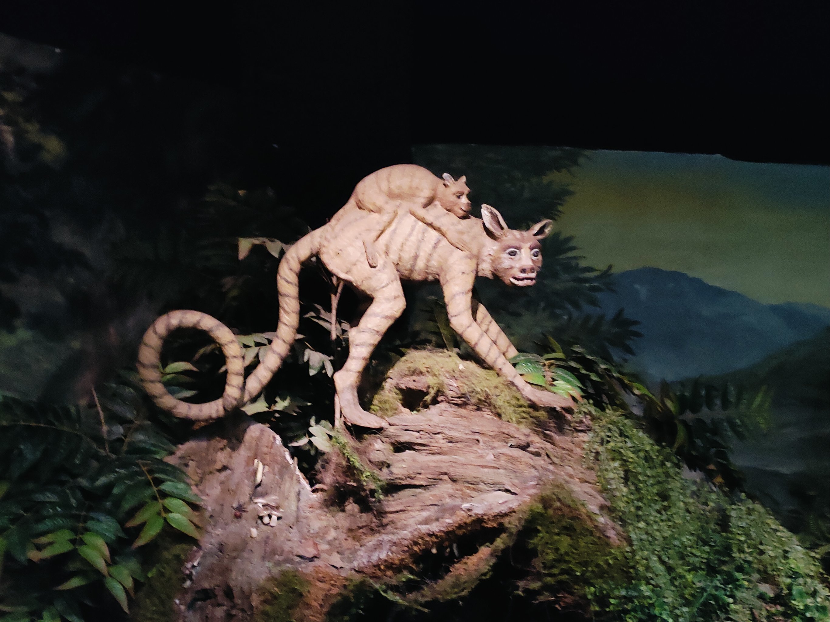 河南殷墟王陵区发现中国迄今最早“野生动物园”