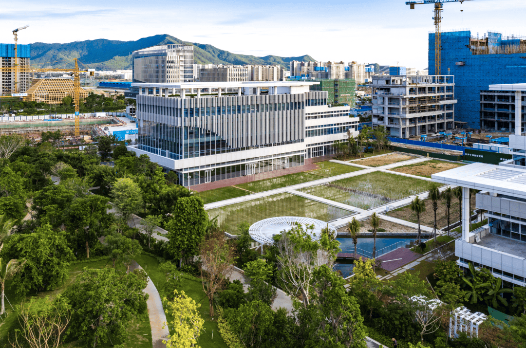 海南加强种业知识产权司法保护 服务“南繁硅谷”建设