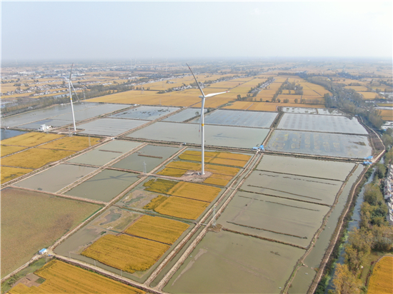 物产金轮：正研究与政策契合点