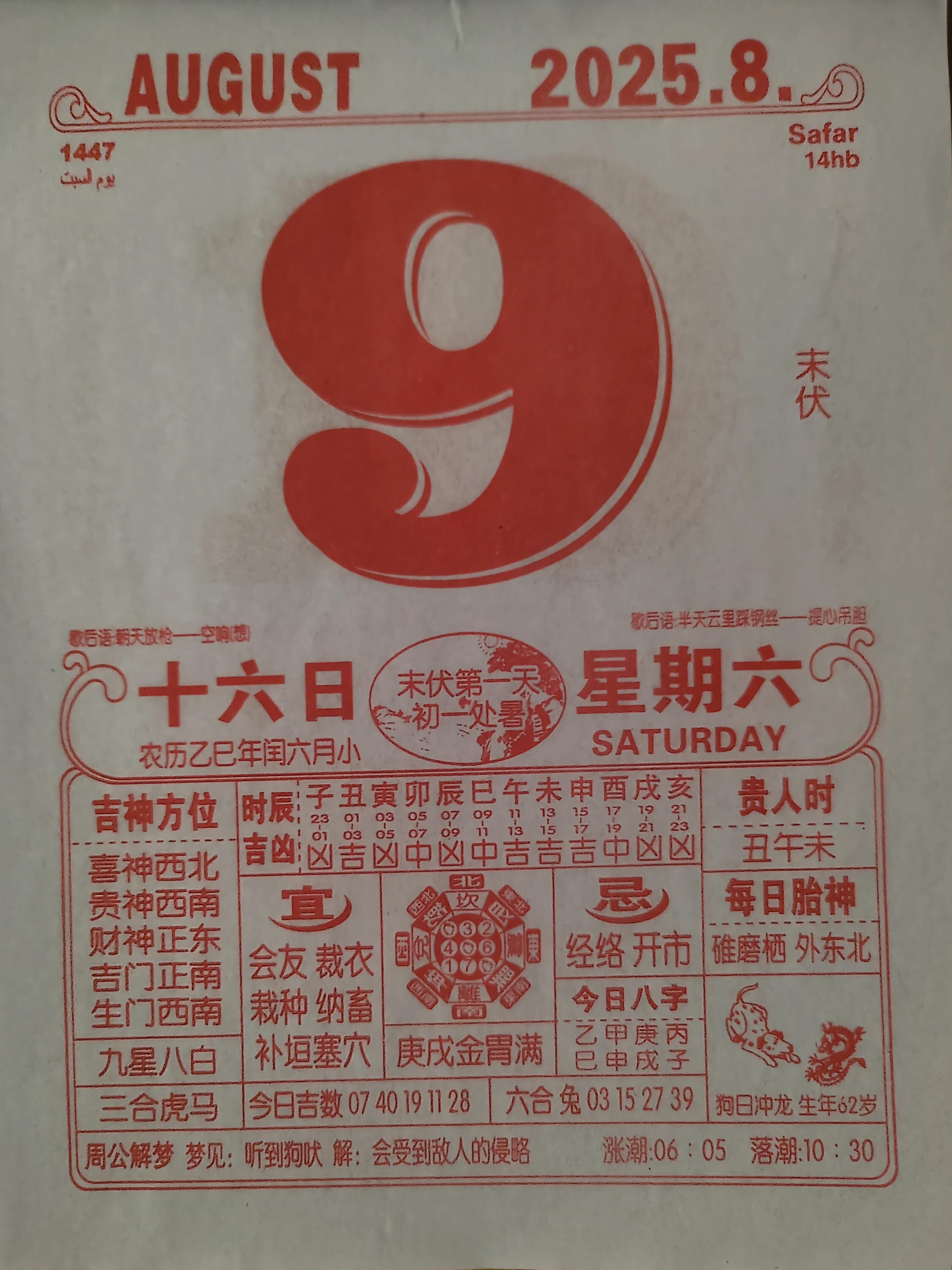 2025年：过渡之年