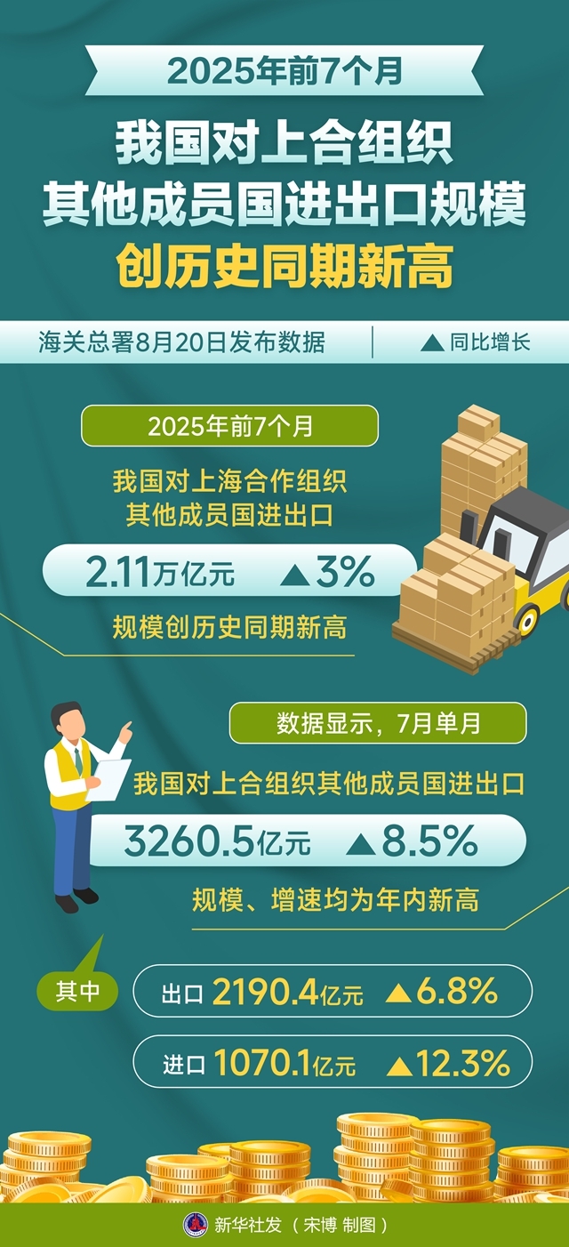 2025年：过渡之年