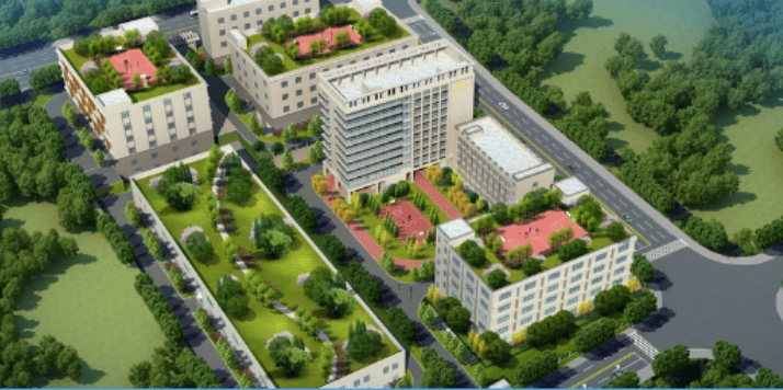 播恩集团：截至2026年1月20日股东户数为10,356户