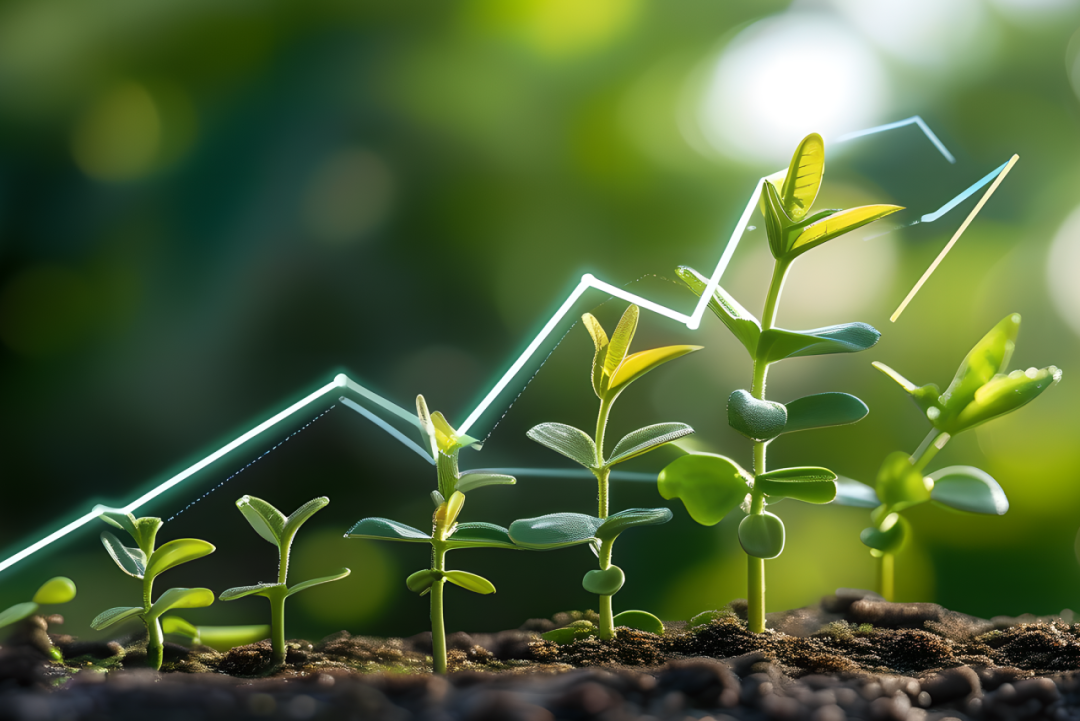 2025年绿色债券发行规模约5.24万亿