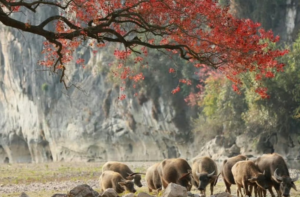 债市收盘| 债市大幅调整 30年国债收益率上行超4BP