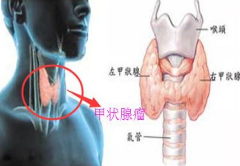 爱护“过敏星人”，北京上大分！朝阳区多家公园上线实时过敏指数提示