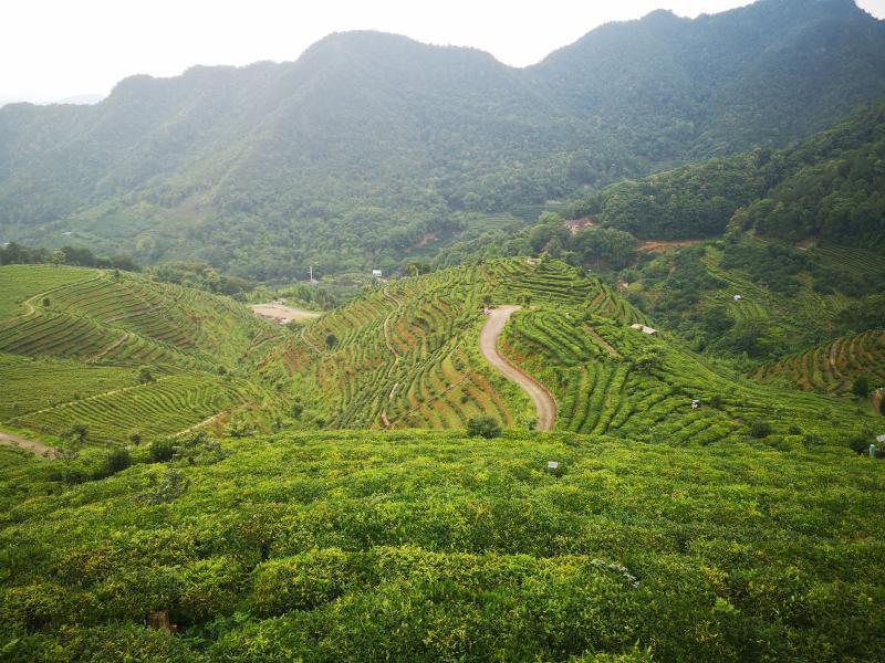 郑州交投集团完成发行10亿元绿色公司债，利率2.20％