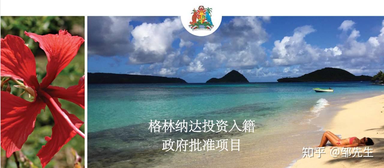 格林纳达三家可持续企业亮相首届英联邦投资网络峰会