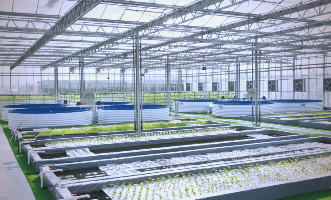 央行等三部门：激励引导金融机构扩大农业设施和畜禽活体抵押贷款投放