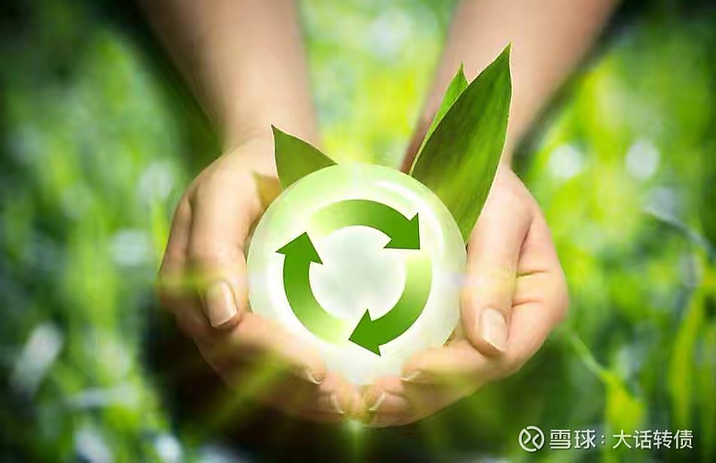 中赋科技：距离“中环转2”停止转股日仅剩半个交易日