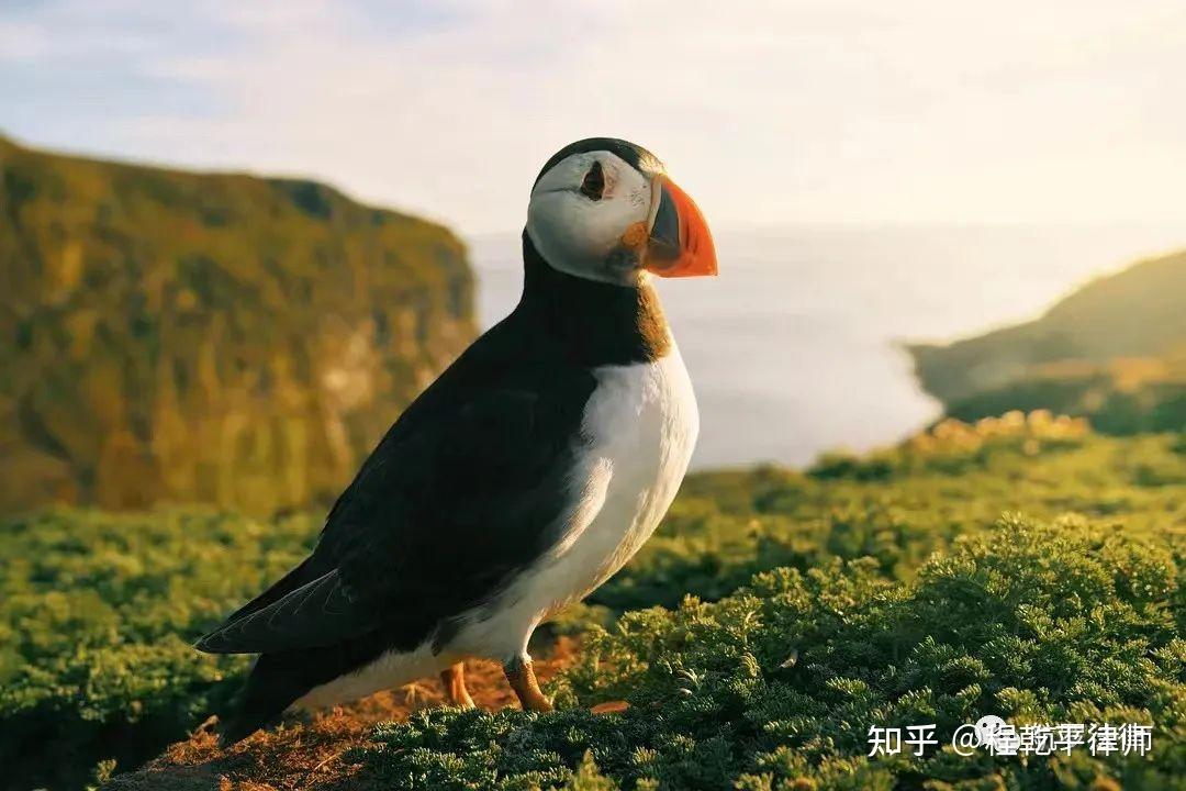 立方风控鸟·晚报（4月9日）