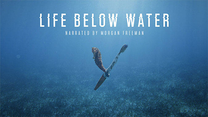 利比里亚与TAF Africa Global公司推进5000套经济适用房及智慧城市项目合作