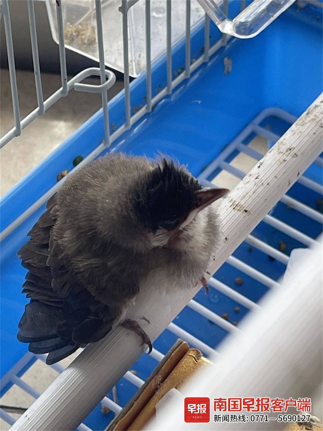 立方风控鸟·早报（4月25日）