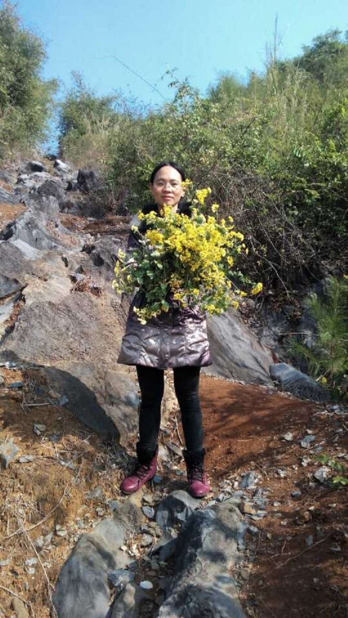 敬艳辉参赞拜会里约州经济发展厅长皮涅罗