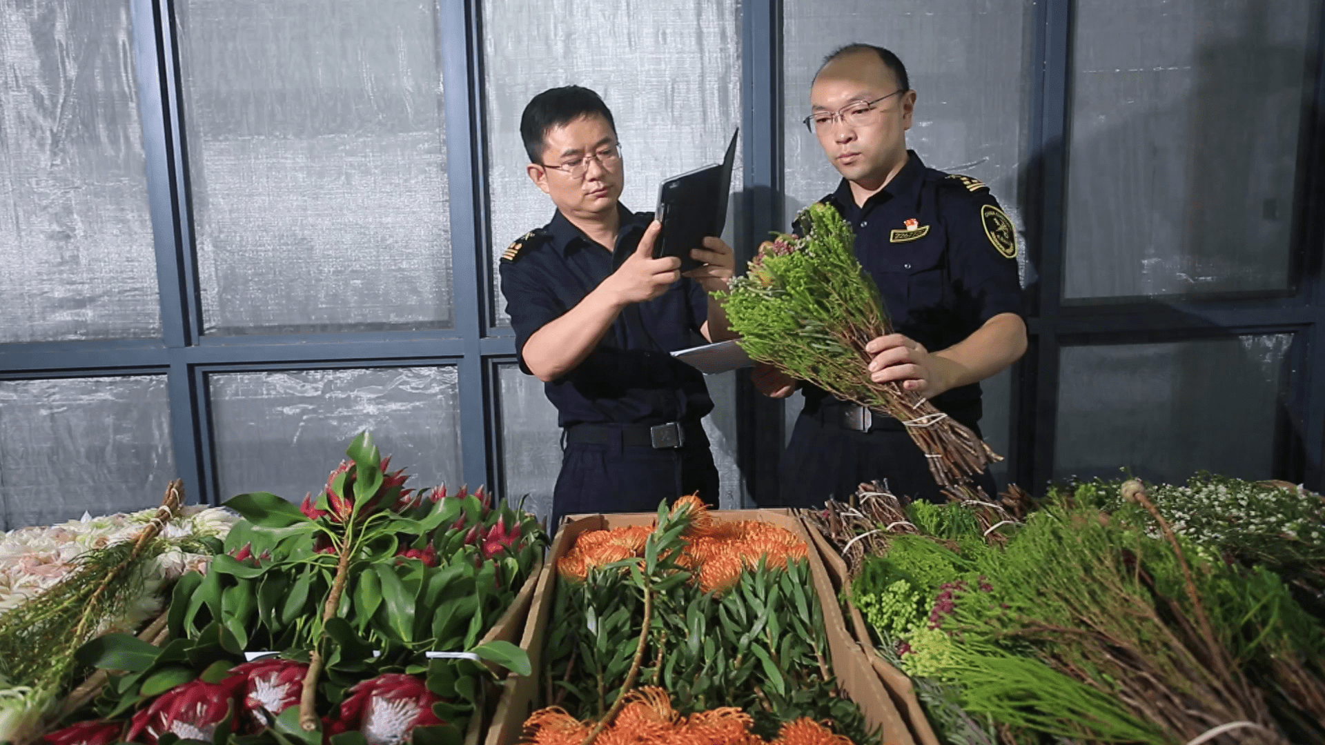 南非农业部和南部非洲柑橘种植者协会对成功修订南非柑橘对华出口检疫要求表示欢迎