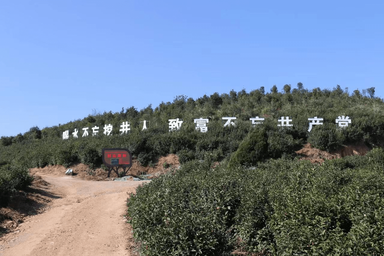打好五套组合拳 湖北联通助力通山乡村振兴