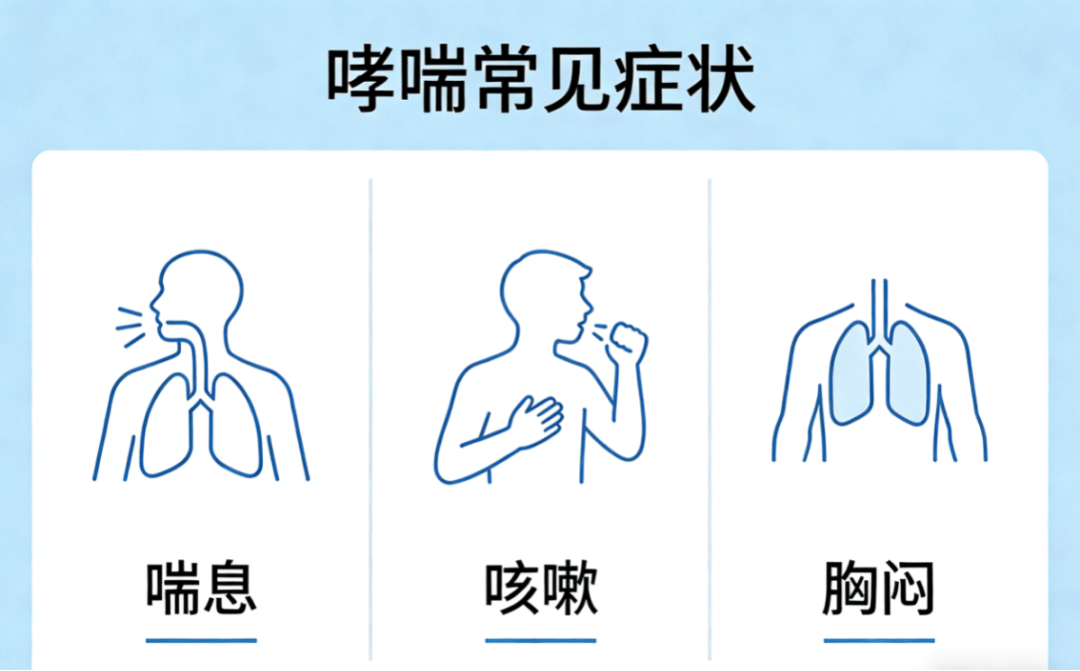 蚊子藏隐患？乙脑怎么防？这套“防护攻略”快收好丨科普时间