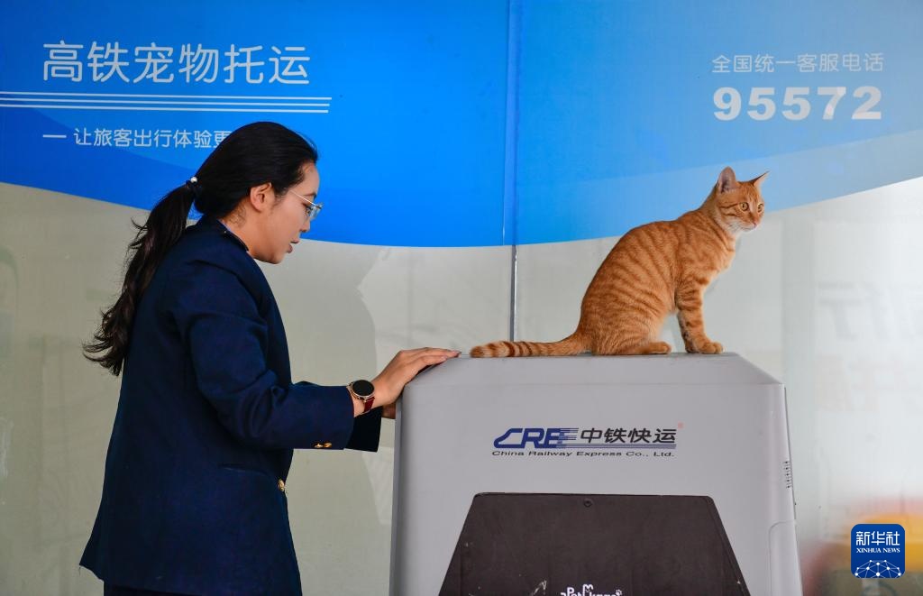 高铁“爱宠行” 近日上线,现存宠物相关企业超546万家