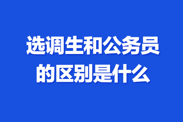 “00后”选调生办“田园高定”秀 烟火文创焕发乡村活力